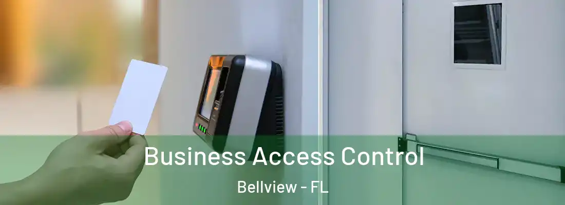 Business Access Control Bellview - FL