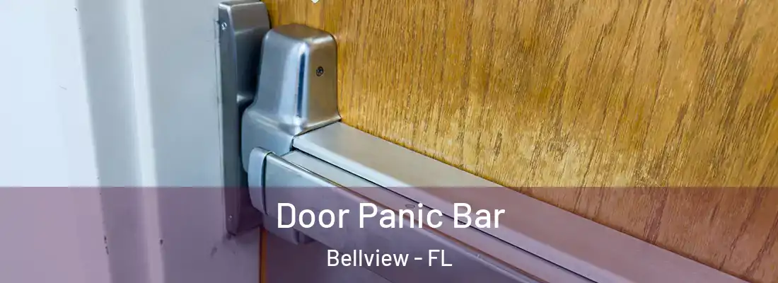 Door Panic Bar Bellview - FL