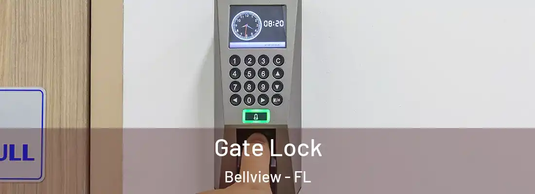 Gate Lock Bellview - FL