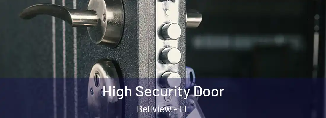  High Security Door Bellview - FL