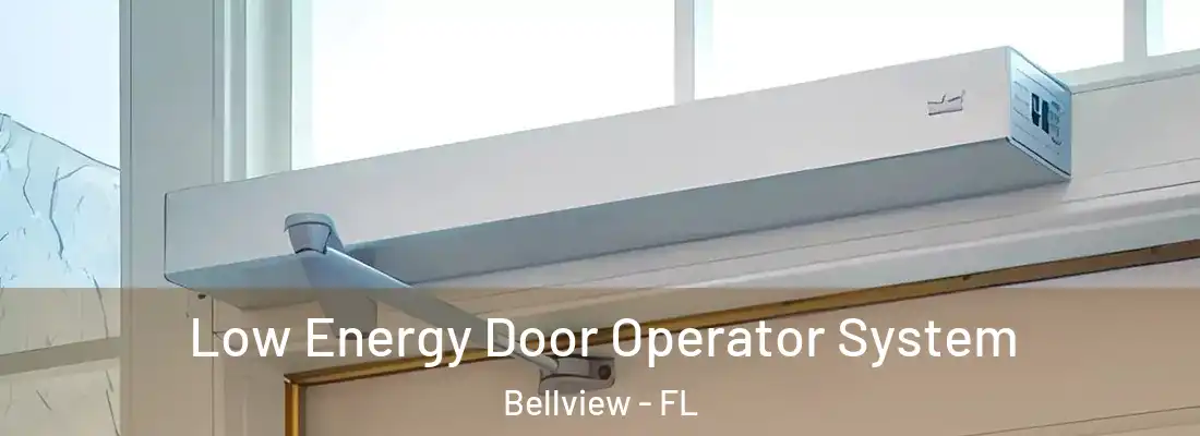 Low Energy Door Operator System Bellview - FL
