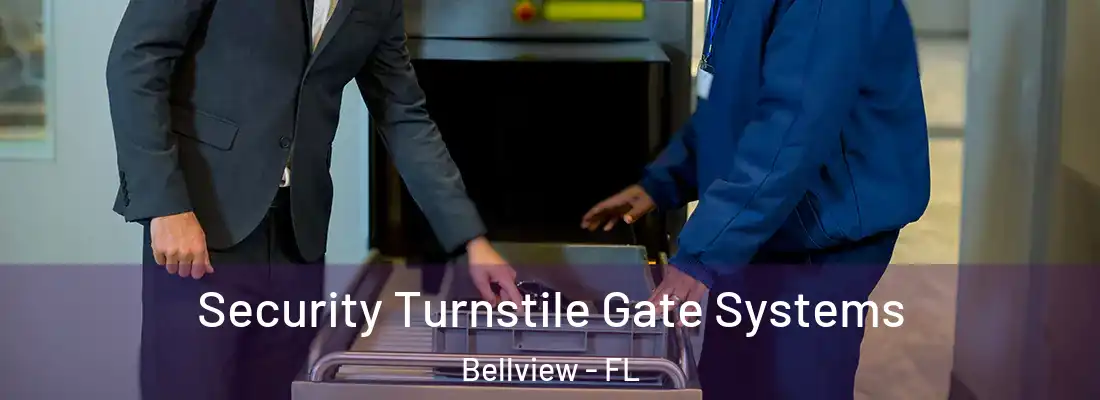Security Turnstile Gate Systems Bellview - FL