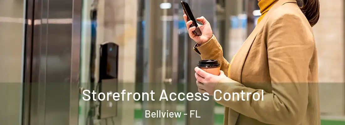 Storefront Access Control Bellview - FL